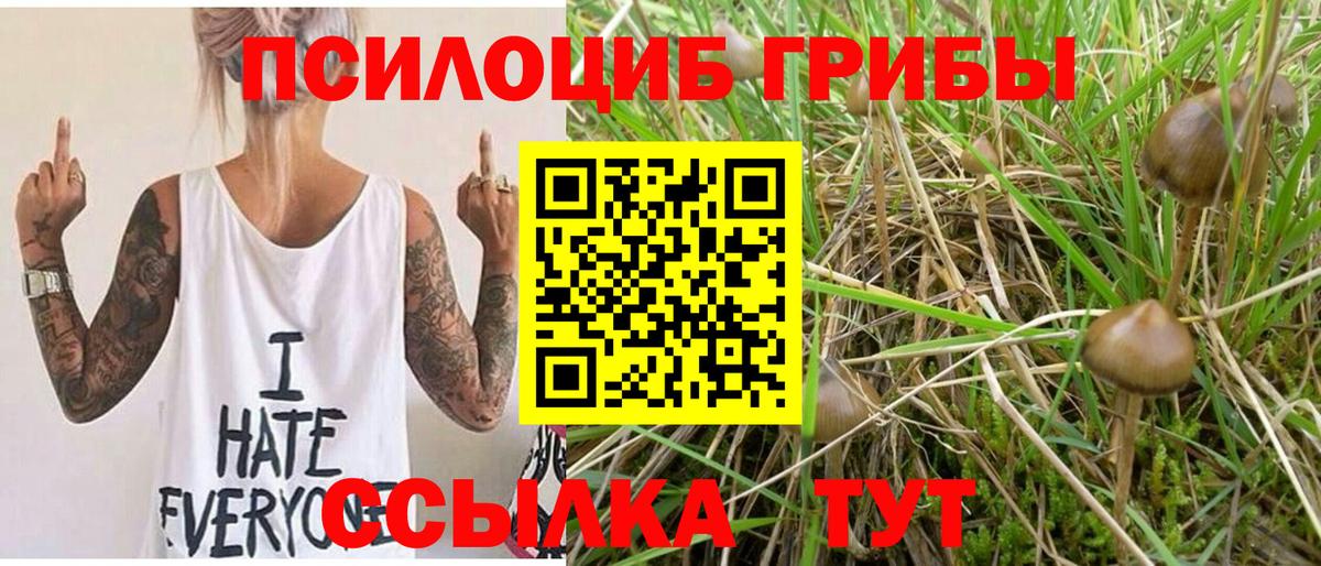 ГАШ  Вход с VPN  Кириши  Мефедрон   Канабис  Конопля 